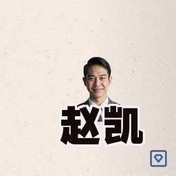赵凯